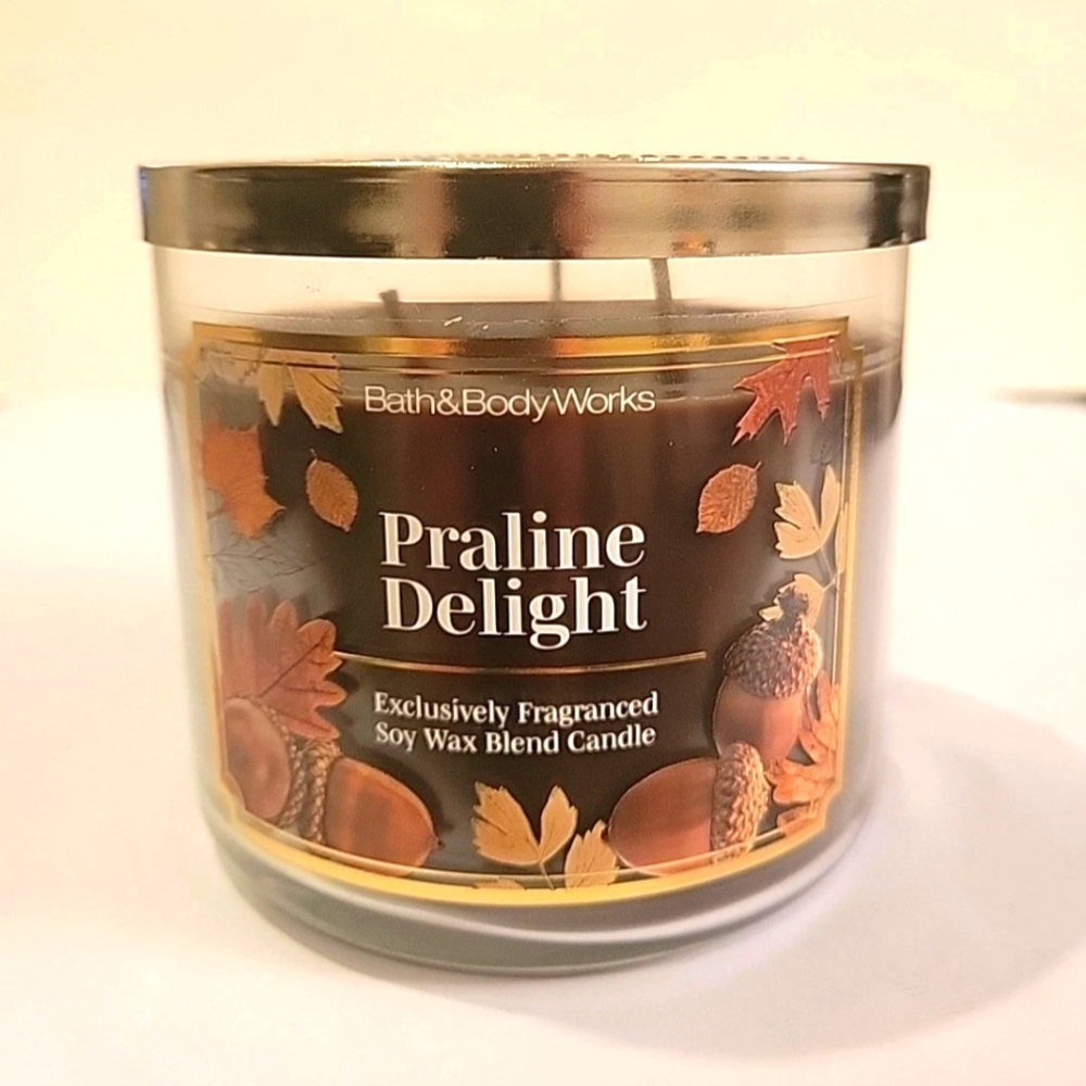 " PRALINE DELIGHT" Bath Body Works Scented 3- Wisks Candle Bath Body Works